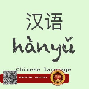 اصول یادگیری زبان چینی |آکادمی جویائو
