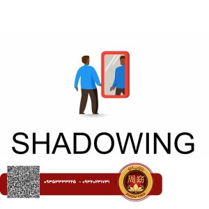 تکنیک shadowing چیست؟